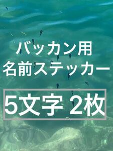 バッカン用 名前ステッカー 5文字 2枚 シマノ がまかつ マルキュー サンライン ダイワ 釣研 東レ などに