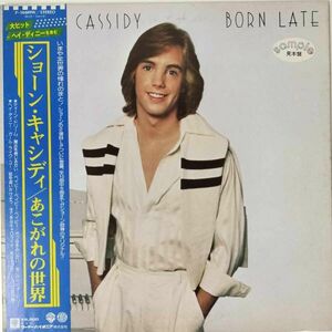 37558【プロモ盤★未使用に近い】 SHAUN CASSIDY/BORN LATE ※帯付き