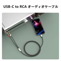 HiFi音質 USB-C to 2RCA 変換 オーディオケーブル 1M (赤/白)変換ケーブル DACチップ搭載 iPad Pro 2021 ゲーム機 テレビ スマホ N533_画像8