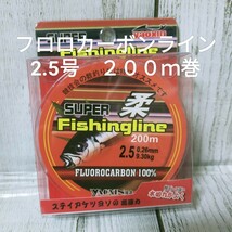 ☆新品☆送料込☆2.5号フロロカーボンライン　２００ｍ巻　バス釣りや根魚、ちょい投げ等にも_画像1