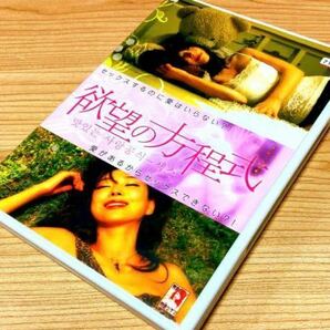 韓国映画 欲望の方程式［DVD］イ・ジンア ユン・ハソン イ・セイル