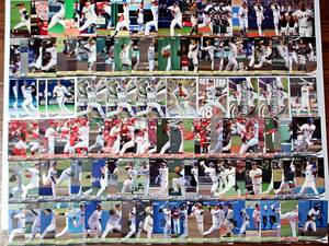 * baseball card approximately 120 sheets large amount set * Calbee Epo kEPOCH calbeekila card autograph card equipped Baseball trading card 