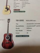 K.Yairi　ヤイリ　YW-800G ハカランダ　アコースティックギター_画像9