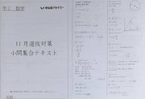 早稲田アカデミー 中学2年数学 11月特訓選抜対策小問集合テキスト 解答あり