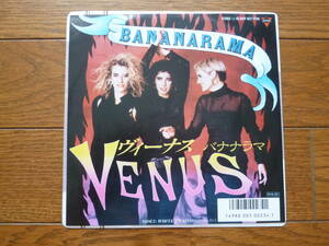 7インチ ep レコード　バナナラマ　ヴィーナス　bananarama / venus / 7inch