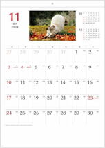 【即決】カレンダー 2024 壁掛け　猫さんぽ　１２か月　令和6年　壁掛けカレンダー　ねこ　ネコ　２０２４年カレンダー_画像2