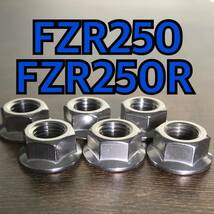 ステンレス製 FZR250 FZR250R 2KR 3LN スプロケットナット 合計6個 _画像1