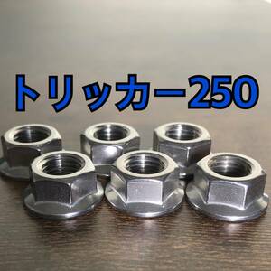 ステンレス製 トリッカー250 DG10J DG16J DG32J スプロケットナット 合計6個 