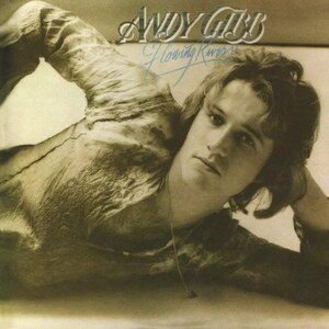 Andy Gibb アンディ・ギブ Flowing Rivers 恋のときめき BeeGees ビー・ジーズ ビージーズ