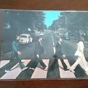 美品◎ビートルズ ポストカード MAD IN THE USA カラー ABBEY ROAD ビートルズ