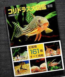 コリドラス大図鑑(新版)｜ ナマズの仲間 記載種161種類+未記載種 飼育 飼い方 水槽レイアウト 繁殖 熱帯魚 アクアライフ