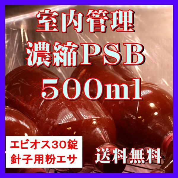 室内管理濃縮培養PSB500ml＋エビオス30錠＋針子用粉エサ＋培養説明書　光合成細菌、水質調整、バクテリア、めだか、針子などに