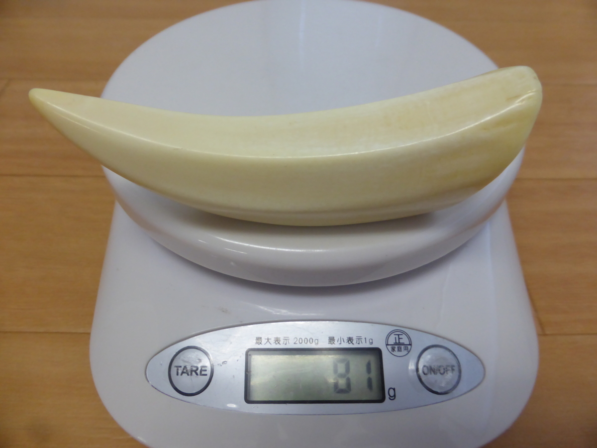 2023年最新】ヤフオク! -鯨 歯(彫刻、オブジェ)の中古品・新品・未使用