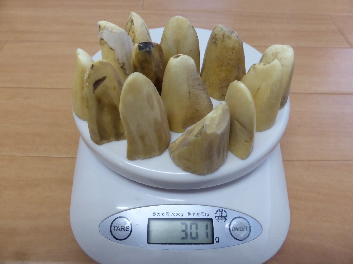 2023年最新】ヤフオク! -カバ牙の中古品・新品・未使用品一覧