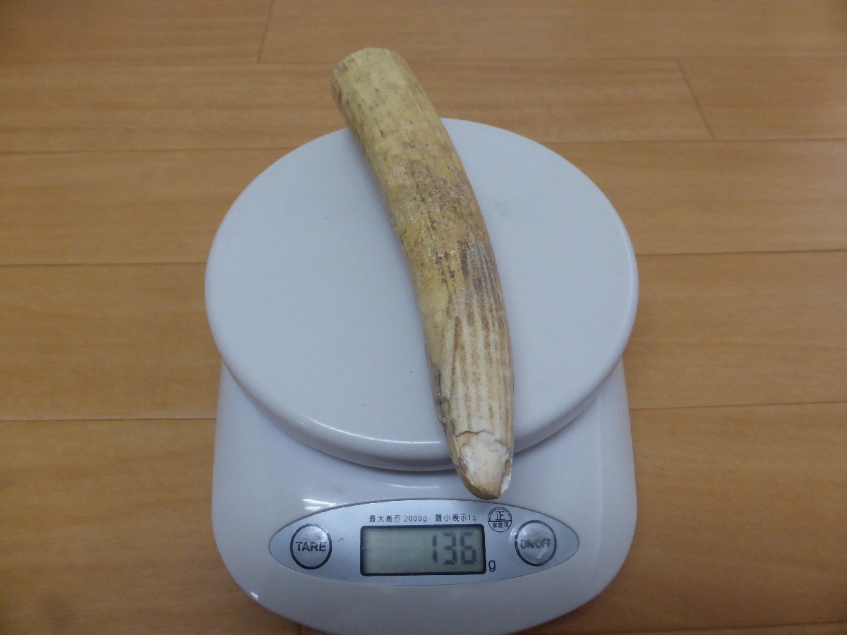 2023年最新】ヤフオク! -象牙 材の中古品・新品・未使用品一覧