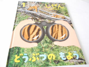 ★キンダーブック　しぜん　『どうぶつのもよう』　フレーベル館　指導・今泉忠明