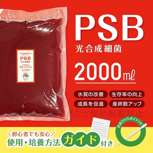 【PSB　光合成細菌　2000ml】メダカ 青水　針子　ミジンコ　ゾウリムシ培養　エサ　餌　生クロレラ　針子メダカ卵稚魚　めだかにスポイト