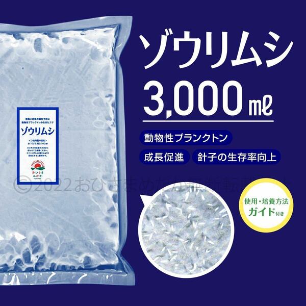 送料無料【ゾウリムシ　種水　3000ml】めだか　メダカ　針子 稚魚　餌　psb　 金魚　青水　PSB　クロレラ　針子メダカ卵ミドリムシ に