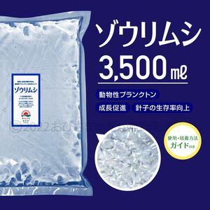 送料無料【ゾウリムシ　種水　3500ml】めだか　メダカ　針子 稚魚　餌　psb　 金魚　青水　PSB　クロレラ　針子メダカ卵ミドリムシ に