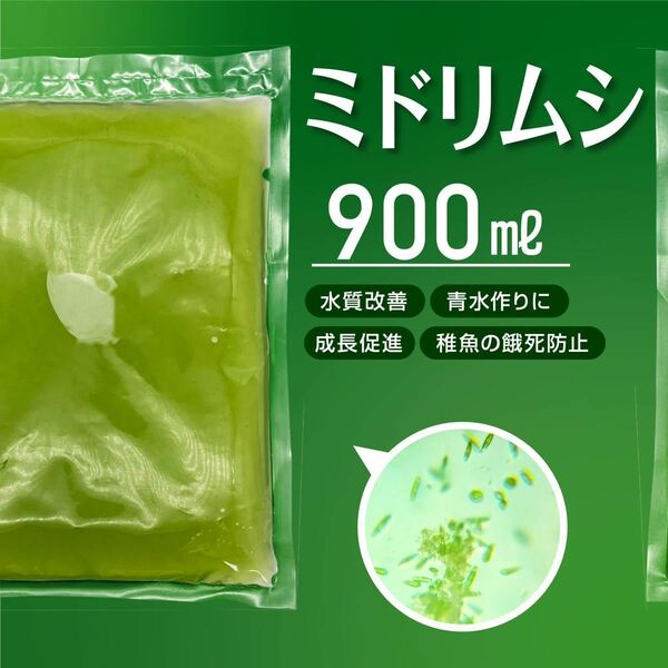 送料無料【ミドリムシ　種水　900ml】めだか　メダカ　針子　エサ 稚魚 ベタ　psb　 金魚　ミジンコ　クロレラ　針子メダカ卵青水 に