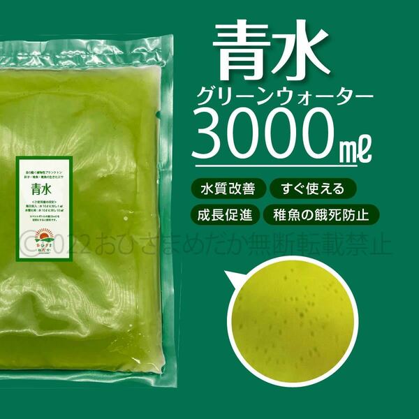 【青水　グリーンウォーター　3000ml】メダカ　めだか　稚魚　クロレラ　ミジンコ　ゾウリムシ　PSB　餌　針子メダカ卵エサ　針子にどうぞ