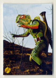 ◆防水対策 厚紙補強 カルビー 仮面ライダーV3チップスカード（2004 復刻版） D03 カメバズーカ トレカ 即決