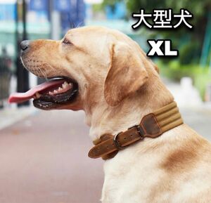 おしゃれ大型犬用 首輪 頑丈 牛革使用 イヌ ドック かっこいい XLサイズ