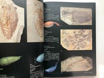 ★　【図録　特別展　脊椎動物のたどった道　生命大躍進　国立科学博物館2015年ほか】116-02310_画像3