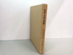 ★　【見田・大沢古墳群 奈良県史跡名勝記念物調査報告第44冊 奈良県立橿原考古学研究所 奈良教育…】161-02310