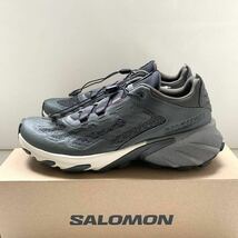 新品レア Salomon サロモン SPEEDVERSE PRG スピードバース スニーカー 28.5㎝ メンズ 日本未入荷カラー シューズ 希少 Beluga 送料無料_画像3