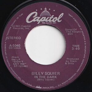 Billy Squier In The Dark / Whadda You Want From Me Capitol US A-5040 204183 ROCK POP ロック ポップ レコード 7インチ 45