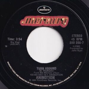 Animotion Obsession / Turn Around Mercury US 880 266-7 204223 ROCK POP ロック ポップ レコード 7インチ 45