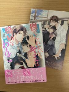 「撫でられたいキミは臆病なわんこ」慧 アニメイト限定リーフレット付き 初版 1.6cm