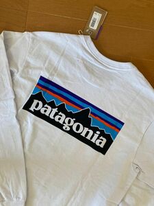 patagonia ロングスリーブ　P-6ロゴ　Tシャツ