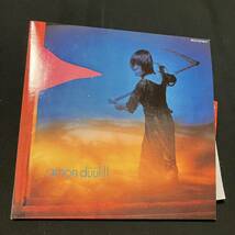 ZB1 SHM-CD アモン・デュールⅡ 地獄! 2009年リマスター 帯付 2CD amon duul レア 日本語解説書付_画像1