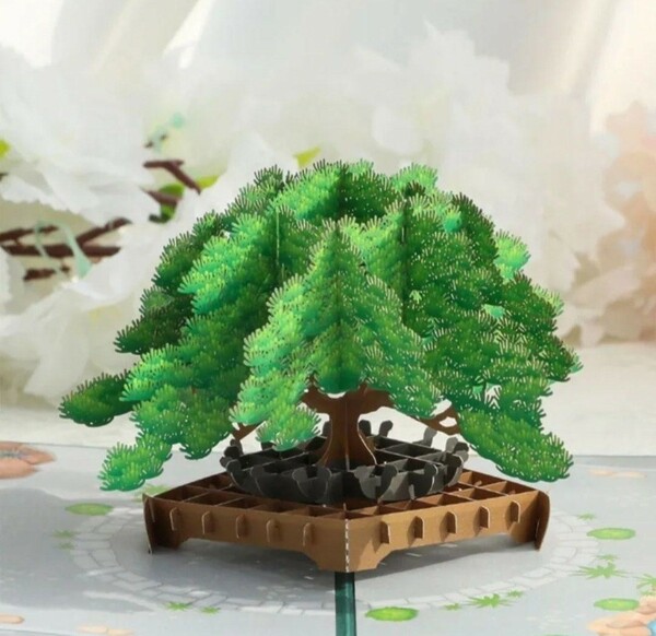 立体カード　HANAKO　飛び出すカード　松の盆栽　黒松　多目的カード　季節のお便り　紙模型