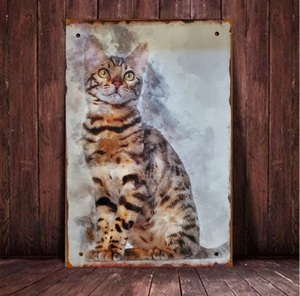 ブリキ看板　HANAKO　レトロ　猫の看板　W8　ベンガル　キジトラ　ウェルカムボード