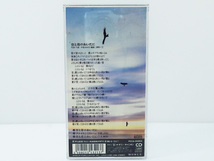 クリアケース付 中島みゆき / 空と君のあいだに / ファイト 8cm CD シングル 短冊 ポニーキャニオン 1994年 F_画像2