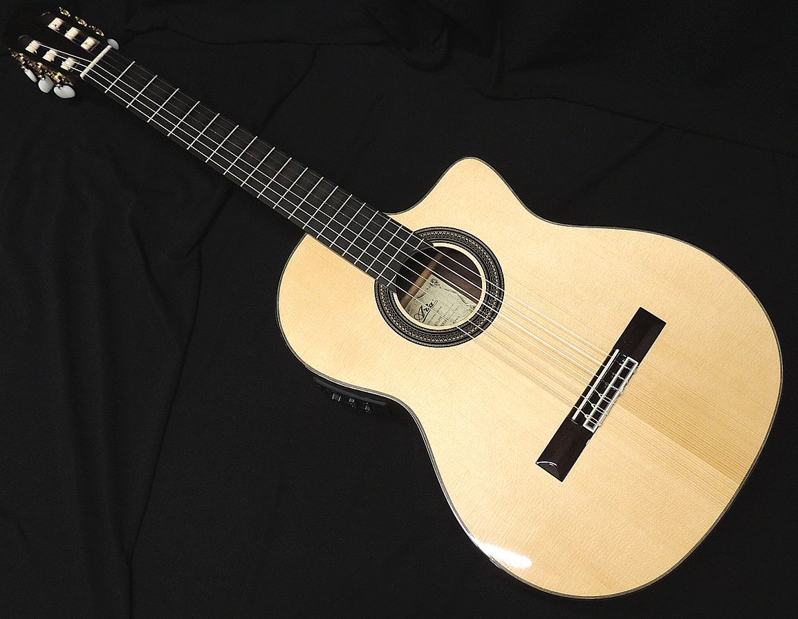2023年最新】Yahoo!オークション -エレガット ギターの中古品・新品