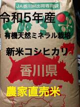 美味しいお米を探している方必見R5年産新米　農家直売　うどん県男米　コシヒカリ玄米20kg 発送当日精米　天然ミネラルオーガニック米_画像1