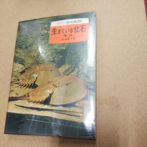 カラー自然ガイド24「生きている化石　動物」浜田隆士