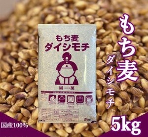 テレビでも話題の人気商品　国産 もち麦 ダイシモチ 5kg 紫もち麦