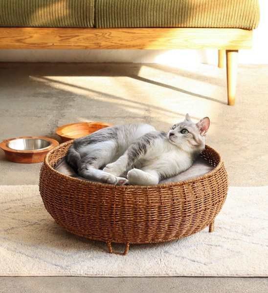 訳あり特価】丈夫で通気性の良いシダ製ペットハウス/猫/犬/幅42cm奥行