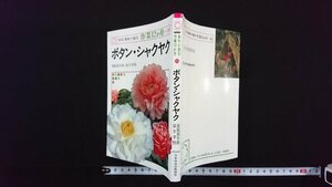 ｖ△　NHK趣味の園芸:作業12か月25　ボタン・シャクヤク　妻鹿加年雄 染井孝熙　日本放送出版協会　平成4年第16刷　古書/G01