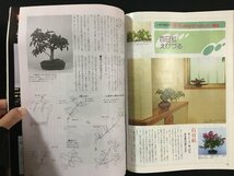 ｗ△*　月刊　近代 盆栽　1992年11月号　赤松のすべて　小品盆栽　新企画出版社　古書　/B10_画像4