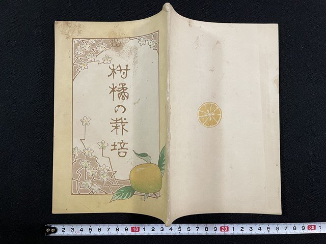 2025年最新】Yahoo!オークション -柑橘(本、雑誌)の中古品・新品 2025年最新】Yahoo!オークション -柑橘(本、雑誌)の中古品・新品