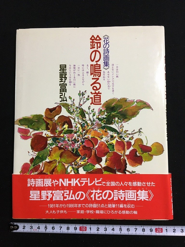 tk△ कला पुस्तक काव्य फूलों का संग्रह वह सड़क जहां घंटी बजती है टोमिहिरो होशिनो 1995 /ए03, चित्रकारी, कला पुस्तक, कार्यों का संग्रह, कला पुस्तक