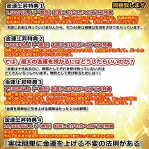 金運風水八角形オルゴナイト 金運60倍ストラップ22mm 金運水晶玉10mm【金運アップの招金堂】イヤリング・ピアス・チャーム・チャーム／0901_画像8