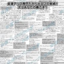 【宝くじ運】最強金運オルゴナイトストラップ（純金・水晶）【金運アップの招金堂】ナンバーズ３・4攻略/ロト６・７買い方/高額当選/206_画像10