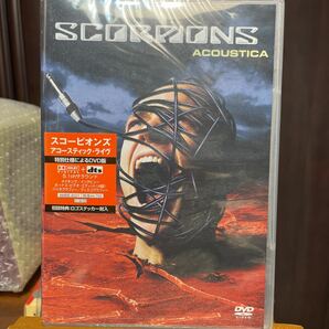 スコーピオンズ SCORPIONS ACOUSTICA 新品未開封シールド 初回特典ロゴステッカー 特別仕様DVD 2001年 ワーナー AMBE-8021  の画像1